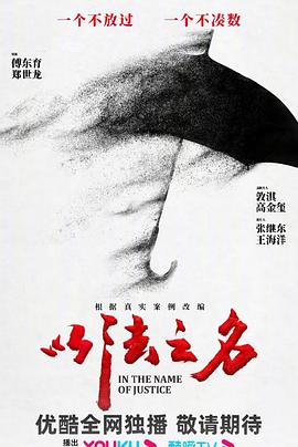 以法之名 第03集